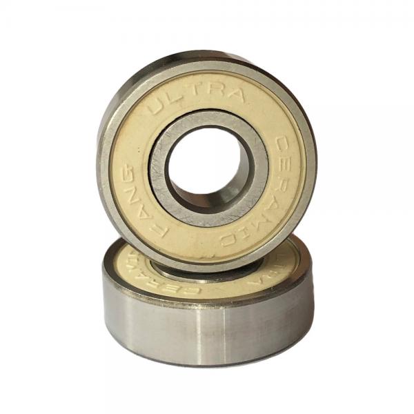 3.74 Inch | 95 Millimeter x 6.693 Inch | 170 Millimeter x 1.26 Inch | 32 Millimeter  NSK NU219W  Cylindrical Roller Bearings #1 image