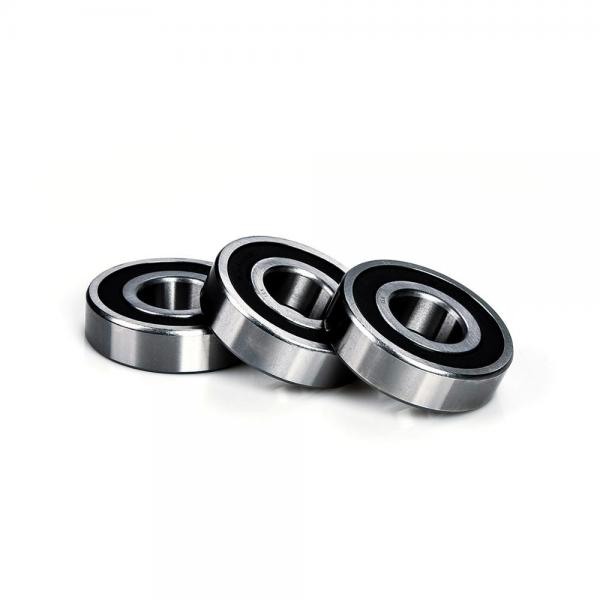 3.74 Inch | 95 Millimeter x 6.693 Inch | 170 Millimeter x 1.693 Inch | 43 Millimeter  NSK NU2219W  Cylindrical Roller Bearings #3 image